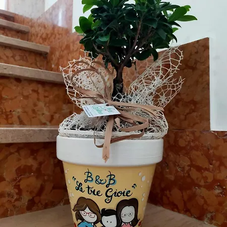 Couette-café Le Tre Gioie Taurisano